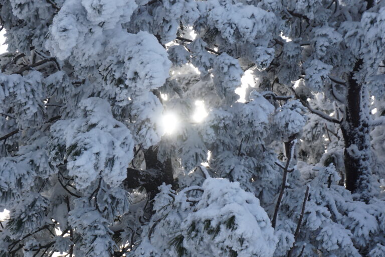 Beskid Śląski Pasmo górskie w Polsce
