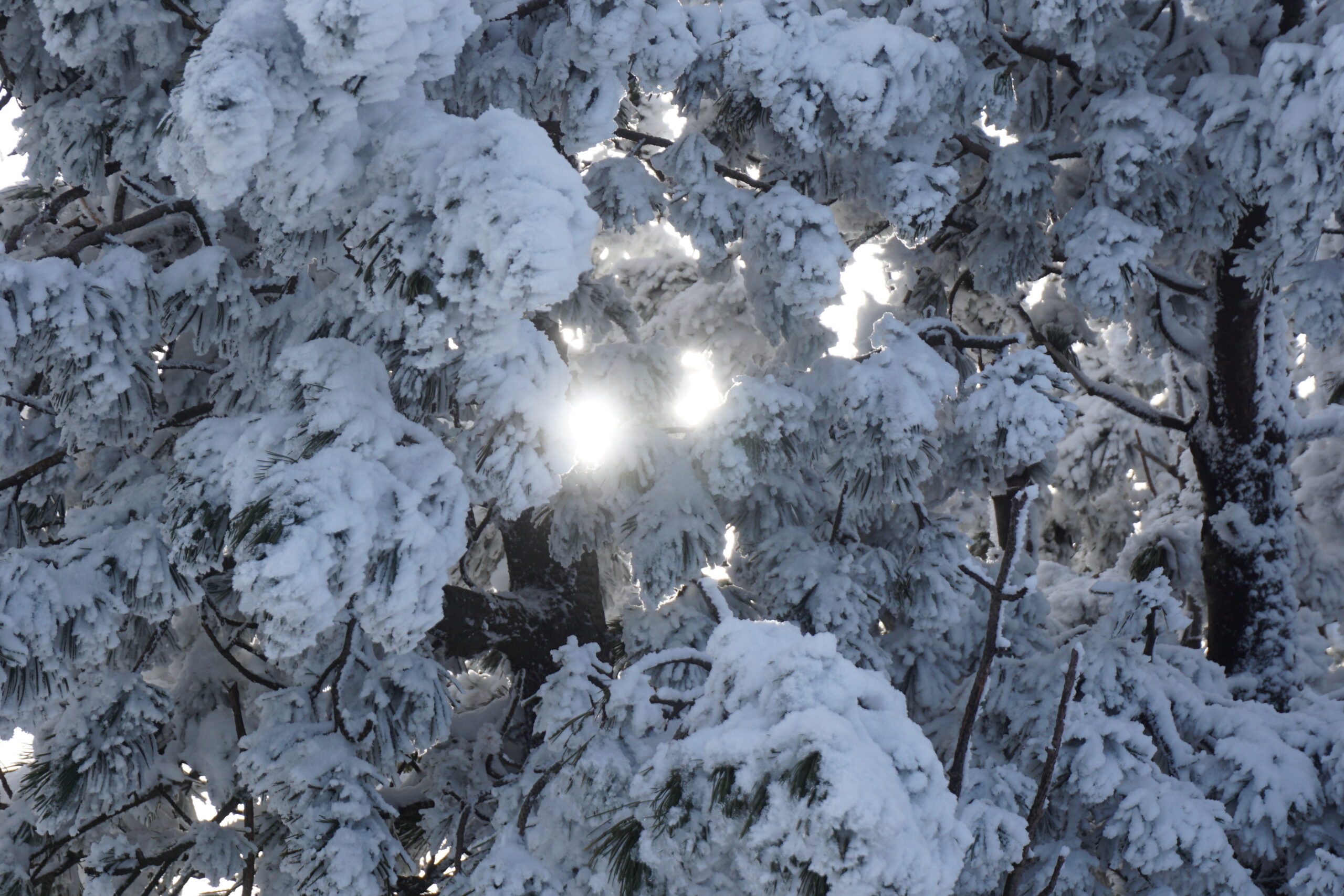 Beskid Śląski Pasmo górskie w Polsce