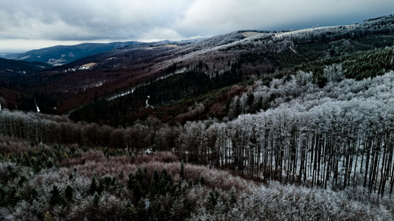 Bajkowy Szlak Utopca – kompletny poradnik rodzinny 2025 | Brenna Centrum – Leśnica