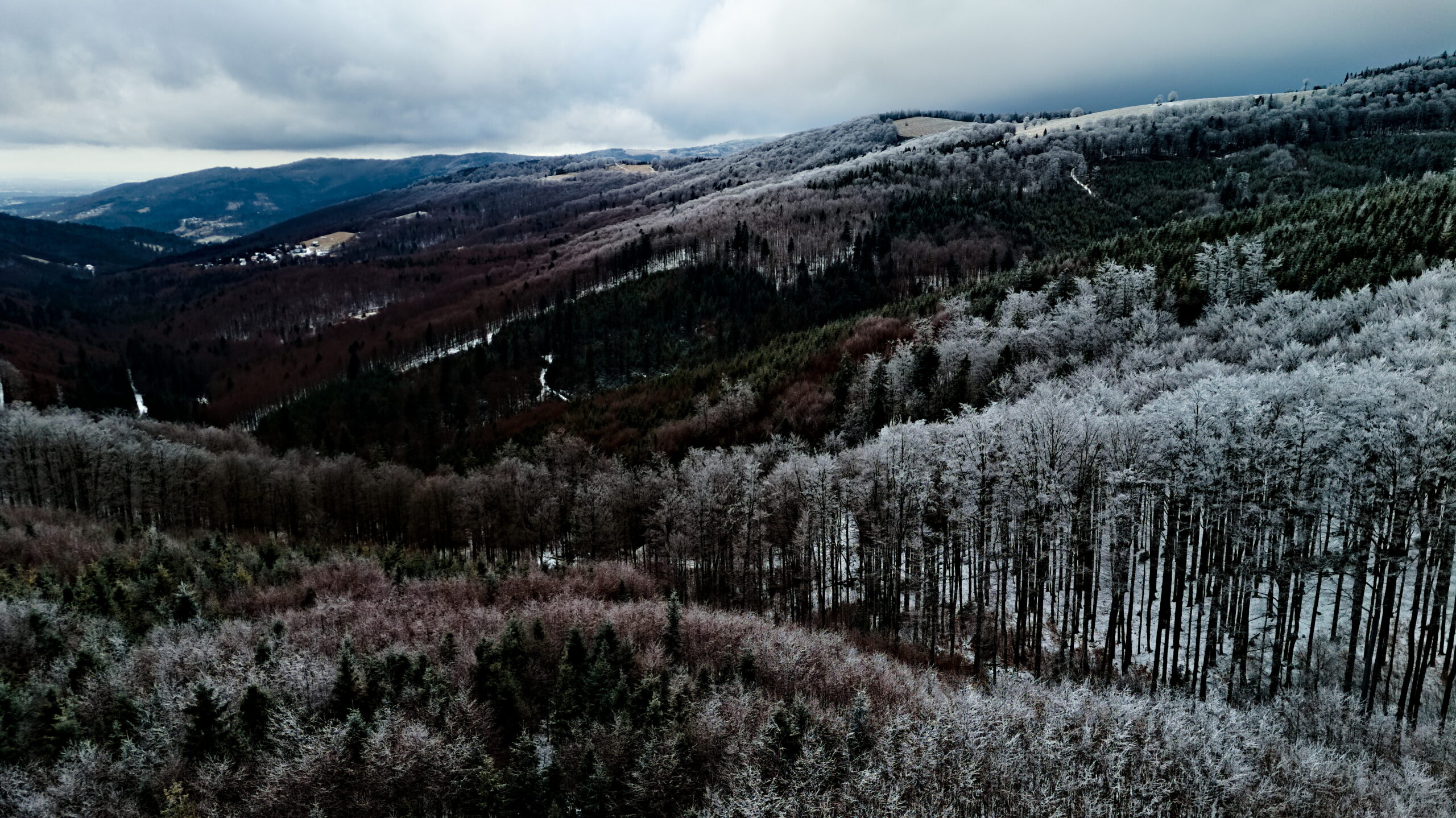 Bajkowy Szlak Utopca – kompletny poradnik rodzinny 2025 | Brenna Centrum – Leśnica